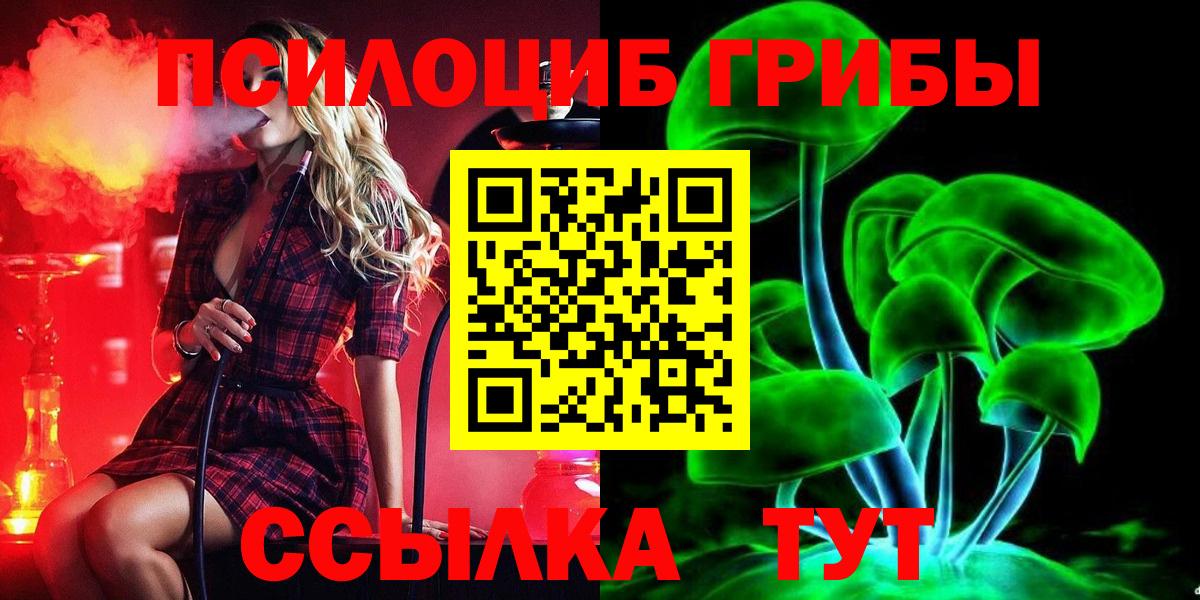 Галлюциногенные грибы Cubensis Балашиха