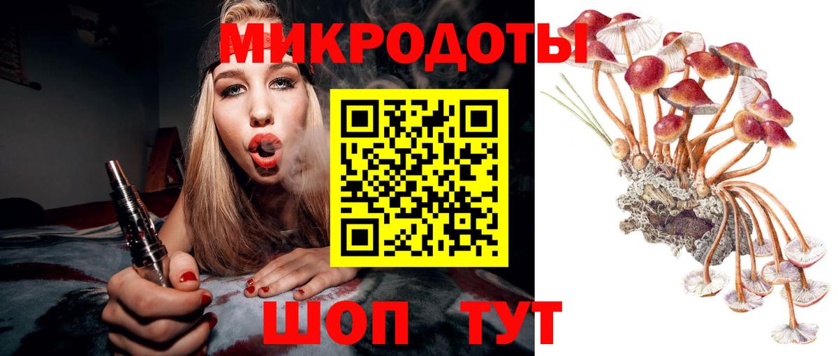 Галлюциногенные грибы MAGIC MUSHROOMS  Вход с VPN  Балашиха  Псилоцибиновые грибы Cubensis 