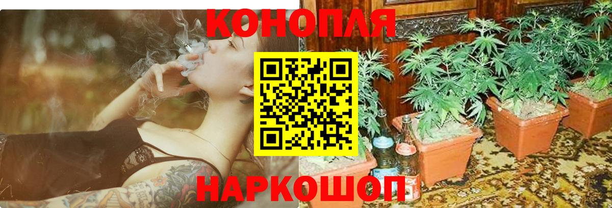 Каннабис конопля Балашиха